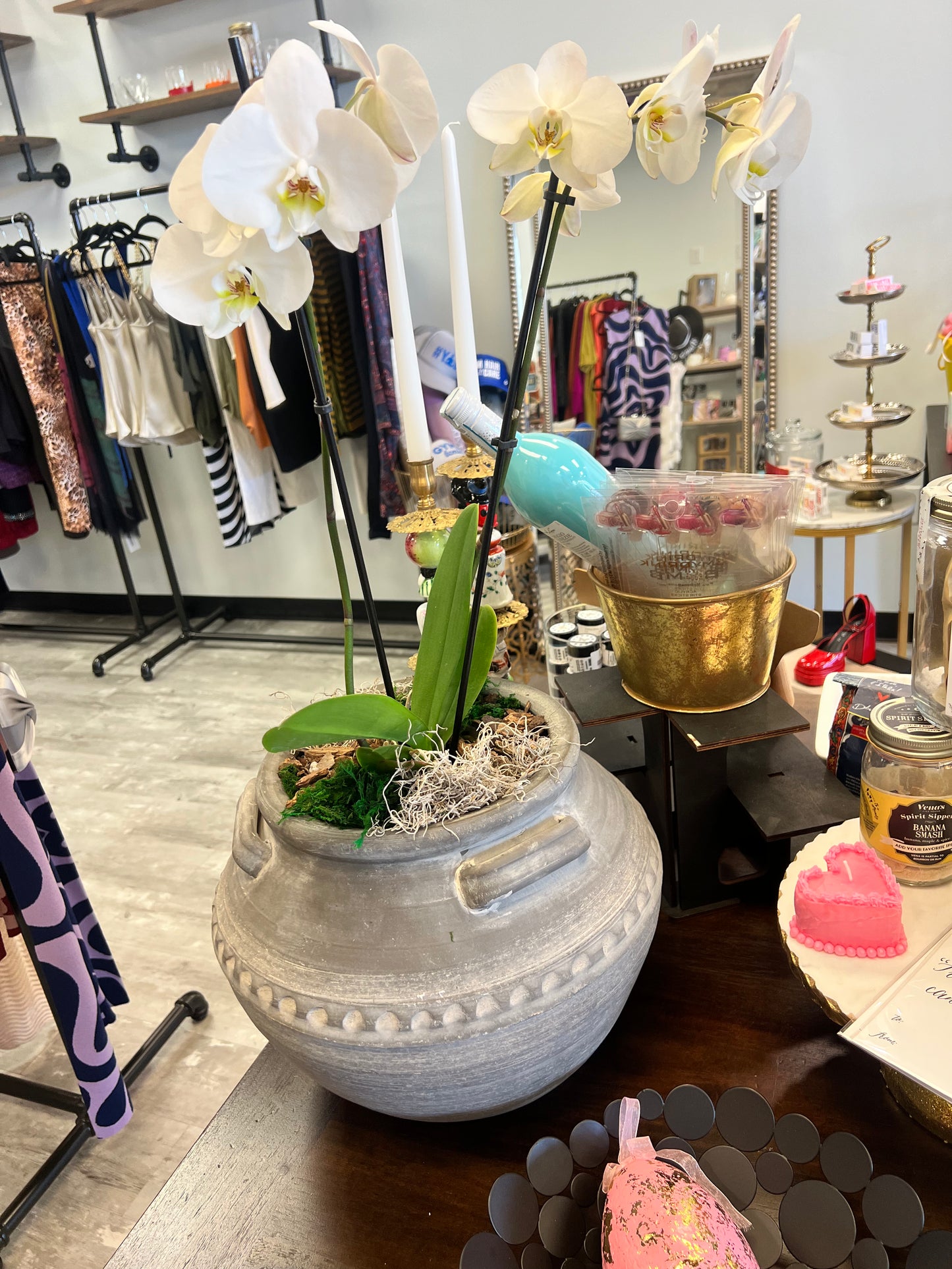 Orchid Arrangement in Grey Planter