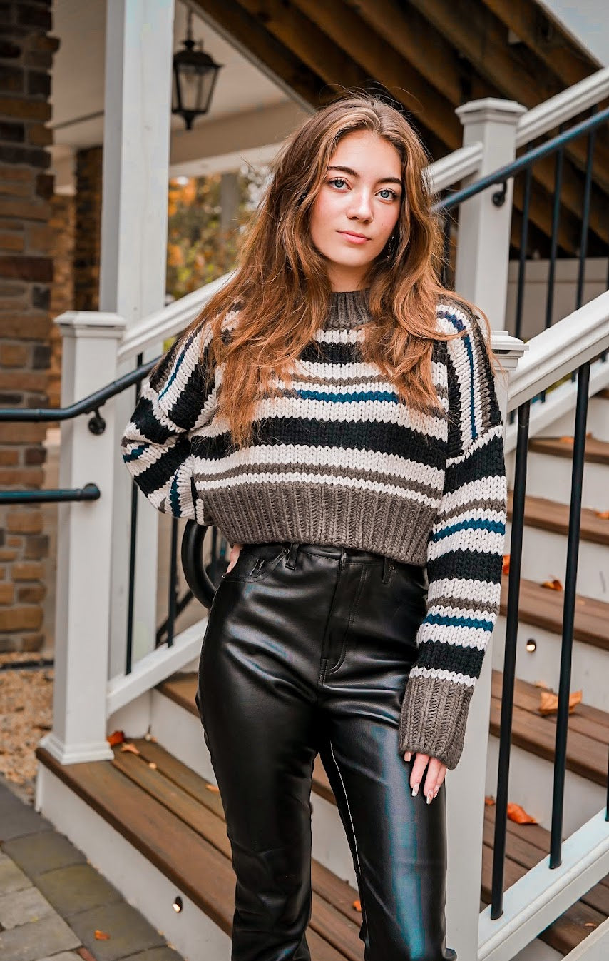 Multi Color Neutral Stripe Sweater